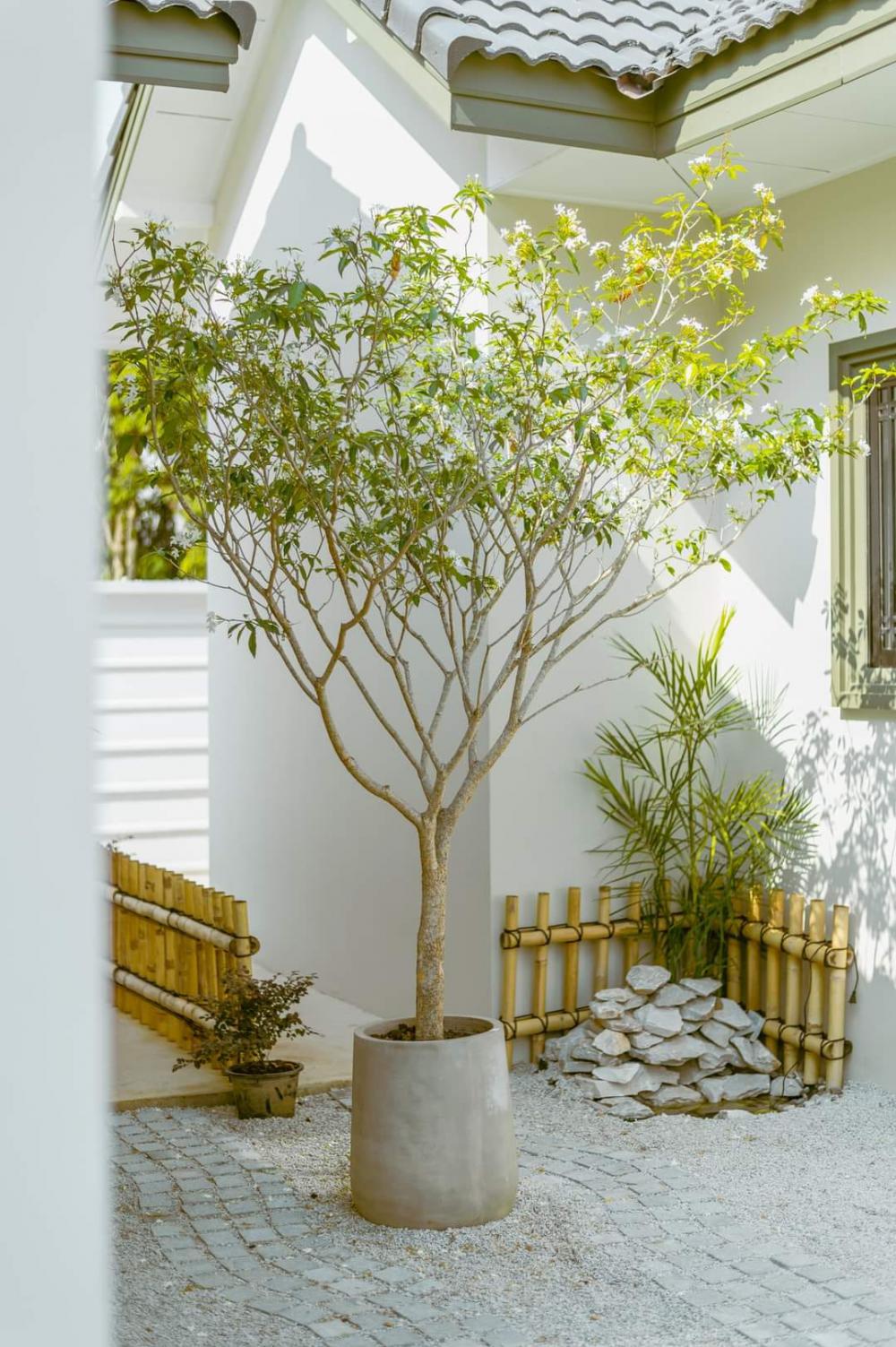 ไอเดียบ้านมินิมอลมูจิ โครงการ ลลัลตา-โมริ  PMY-ทับมา รูปที่ 25