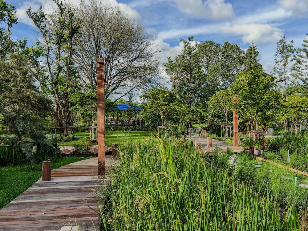 ไอเดียบ้านไม้สวยหลังเล็ก รูปที่ 9