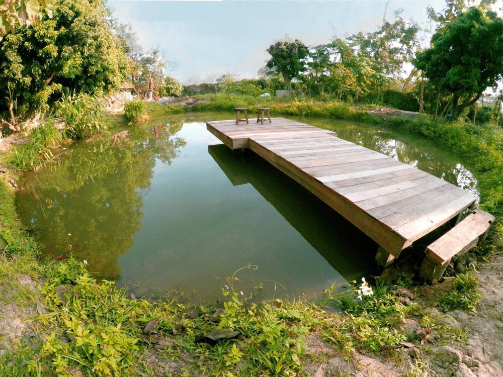 ไอเดียบ้านไม้สวย รูปที่ 20