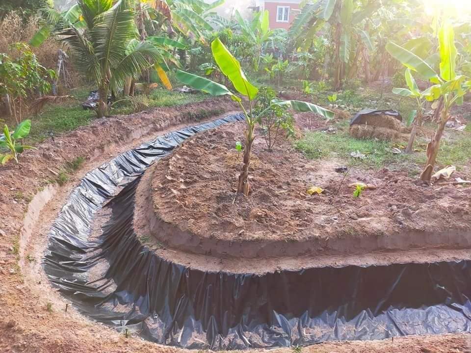 ไอเดียคลองไส้ไก่สวยๆ รูปที่ 11