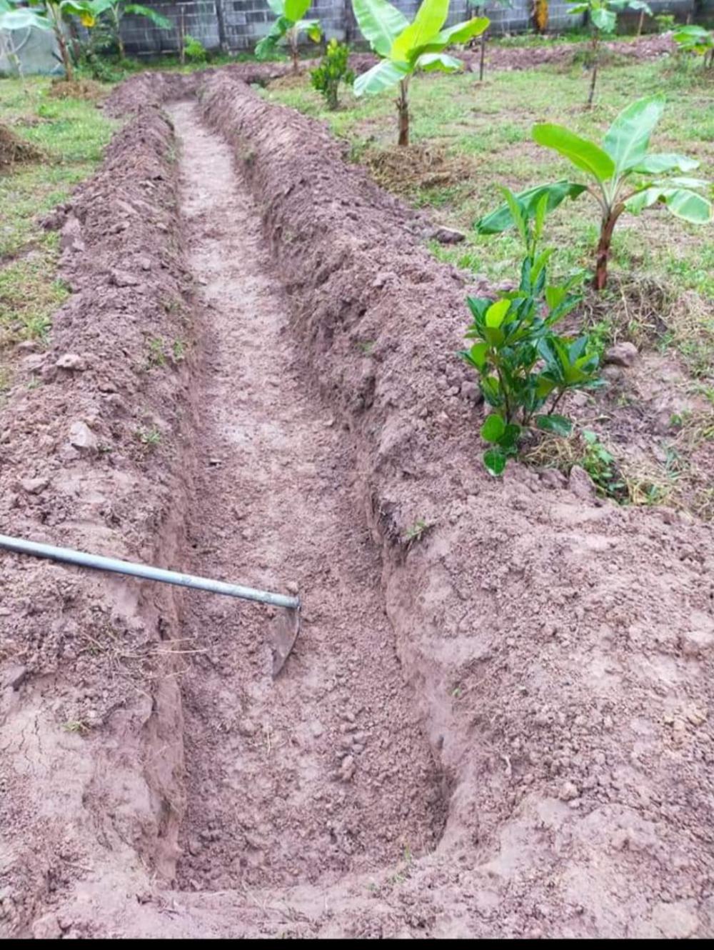 ไอเดียคลองไส้ไก่สวยๆ รูปที่ 12