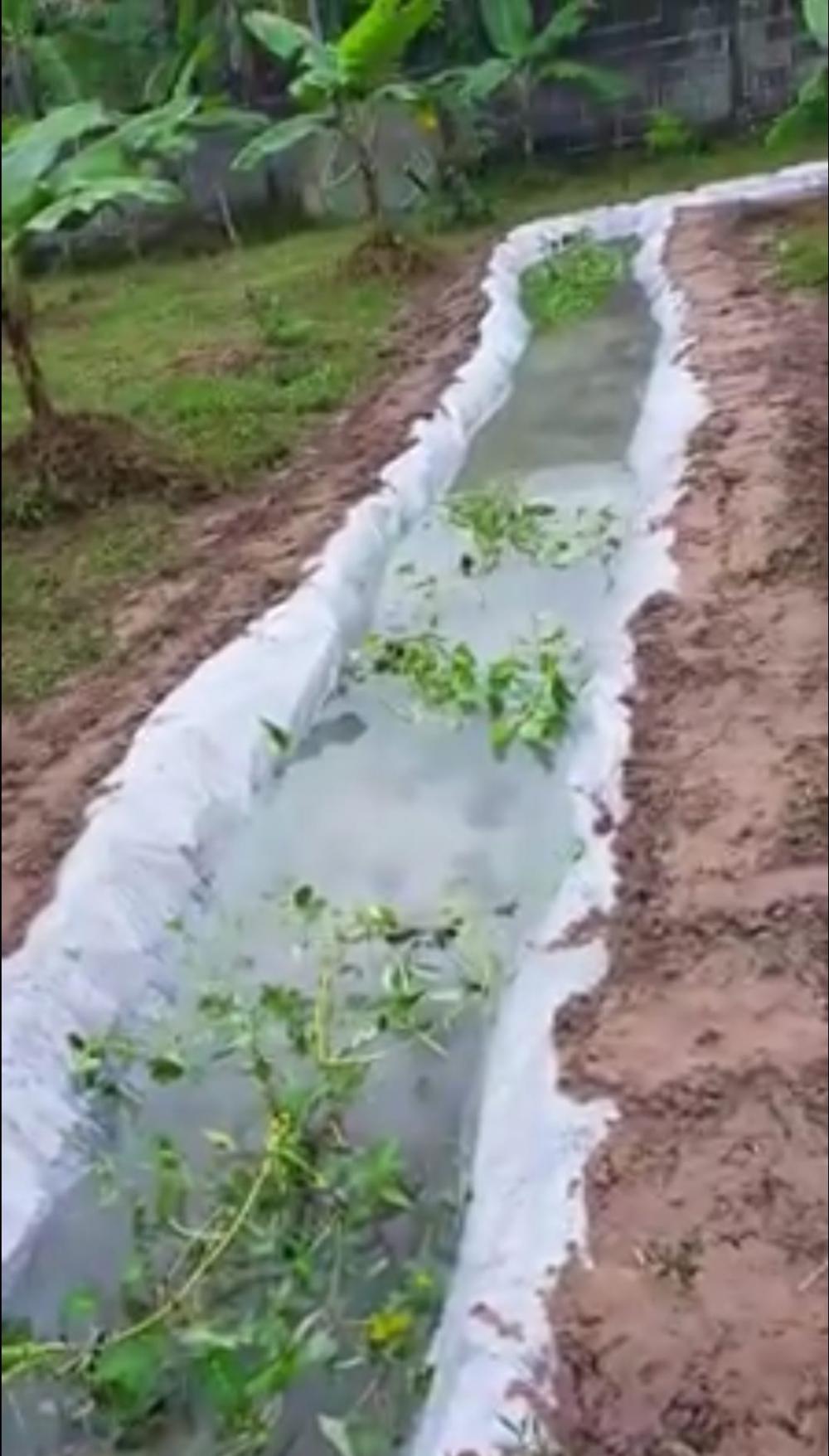 ไอเดียคลองไส้ไก่สวยๆ รูปที่ 13