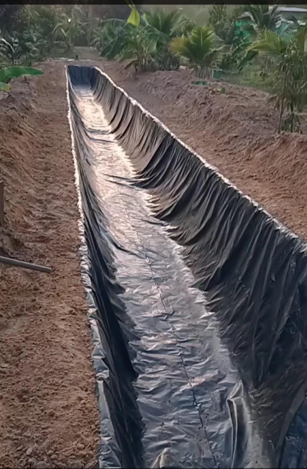 ไอเดียคลองไส้ไก่สวยๆ รูปที่ 14