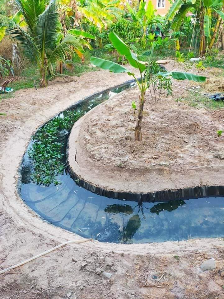 ไอเดียคลองไส้ไก่สวยๆ รูปที่ 15