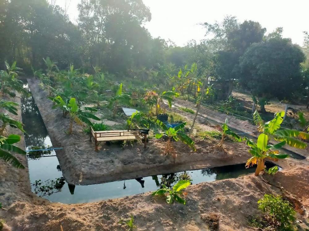 ไอเดียคลองไส้ไก่สวยๆ รูปที่ 16