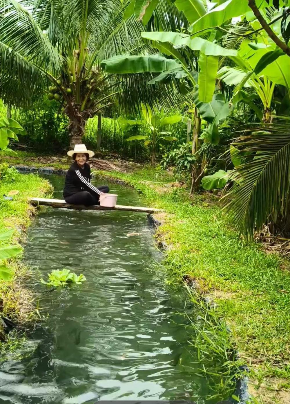 ไอเดียคลองไส้ไก่สวยๆ รูปที่ 8