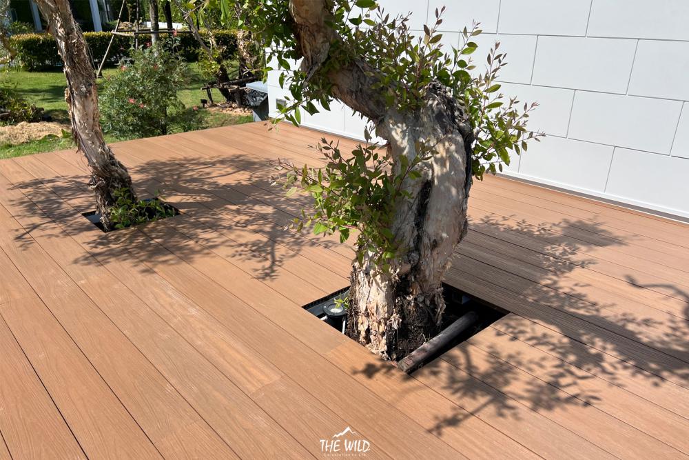 บ้านสำเร็จรูป บ้านโมเดล Prontera V1 (Custom) Size 7.5 X 3.5 m.⁣ รูปที่ 8