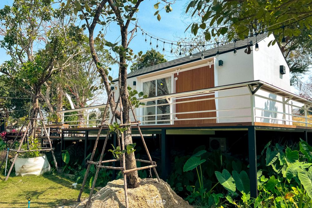 บ้านทรงนอร์ดิกยกสูง มีพื้นที่ชมวิวธรรมชาติสวยๆรอบบ้านโมเดล Harper Minimal รูปที่ 6