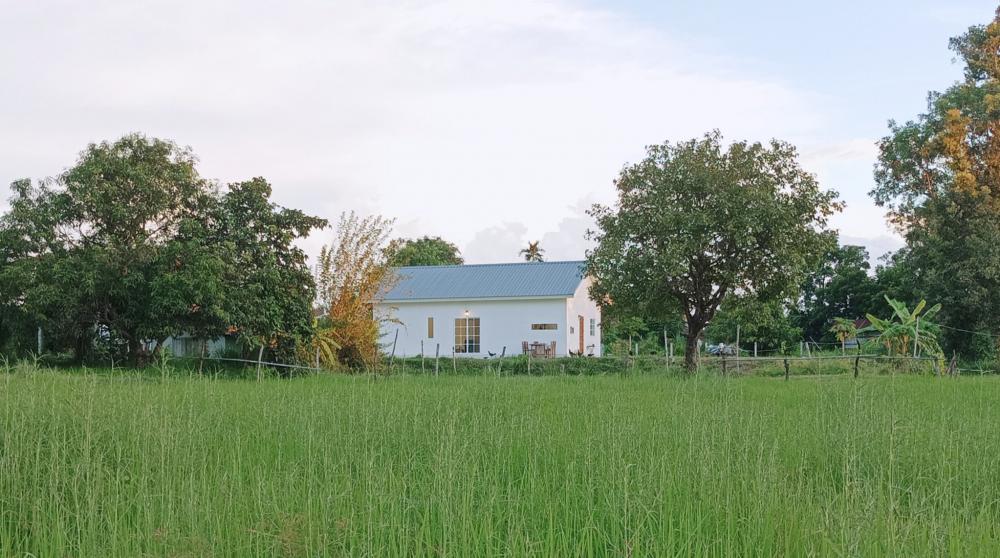 บ้านทุ่งมินิมอล ไอเดียบ้านมินิมอลทุ่งนา รูปที่ 28