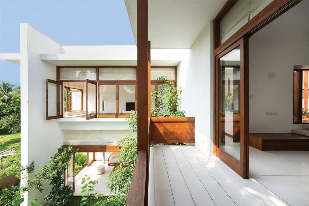 ไอเดียปลูกต้นไม้ในตัวบ้าน ปลูกต้นไม้กลางบ้าน รูปที่ 10