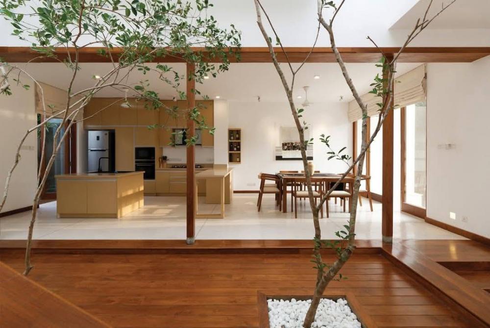 ไอเดียปลูกต้นไม้ในตัวบ้าน ปลูกต้นไม้กลางบ้าน รูปที่ 3