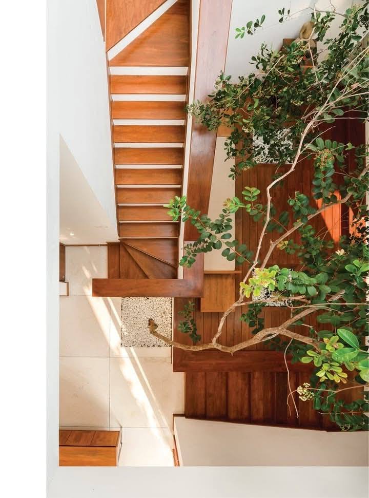 ไอเดียปลูกต้นไม้ในตัวบ้าน ปลูกต้นไม้กลางบ้าน รูปที่ 8