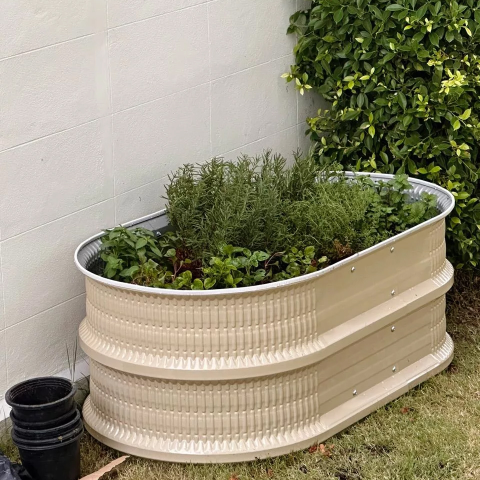 ไอเดียกระถางต้นไม้น่ารัก รูปที่ 3