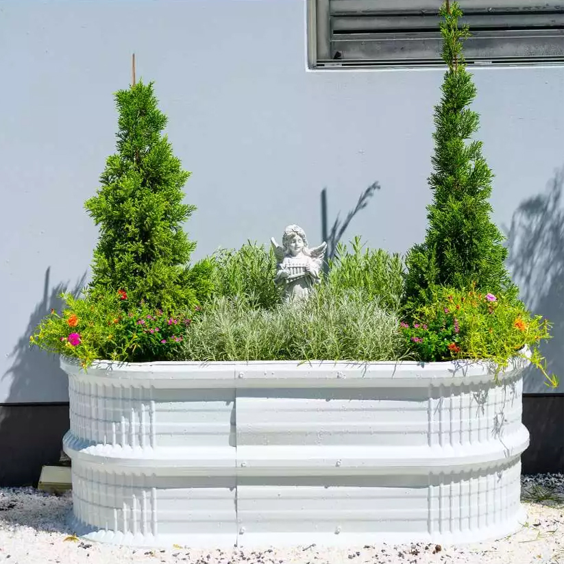 ไอเดียกระถางต้นไม้น่ารัก รูปที่ 4