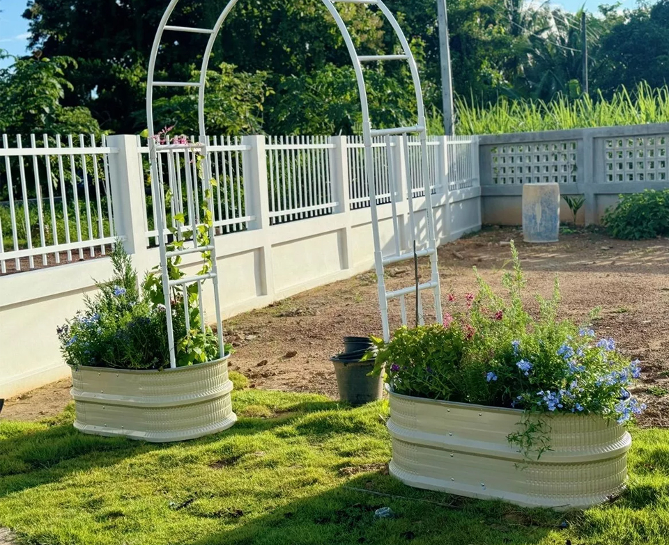 ไอเดียกระถางต้นไม้น่ารัก รูปที่ 6