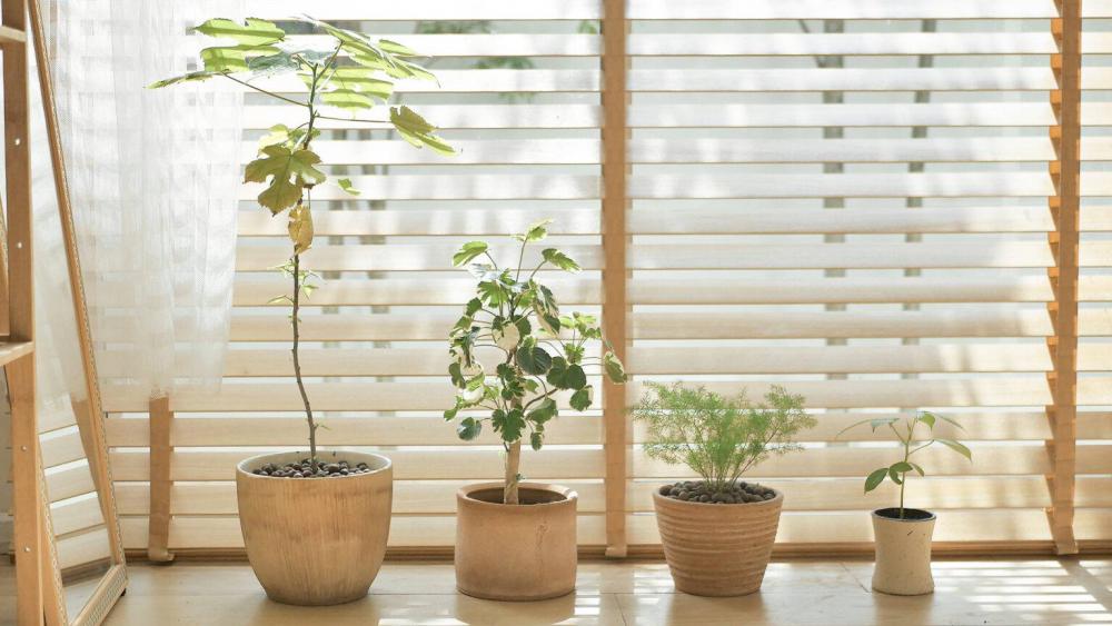 บ้านสไตล์มินิมอล 2 ชั้นที่พักที่อบอุ่น รูปที่ 10