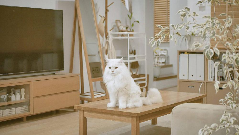 บ้านสไตล์มินิมอล 2 ชั้นที่พักที่อบอุ่น รูปที่ 4