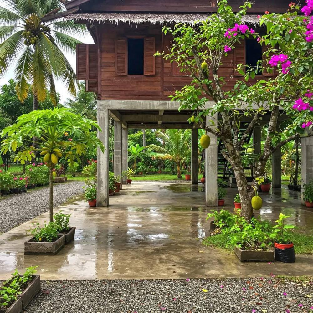 บ้านไม้ในสวน บ้านไม้ยกพื้นในสวน รูปที่ 1