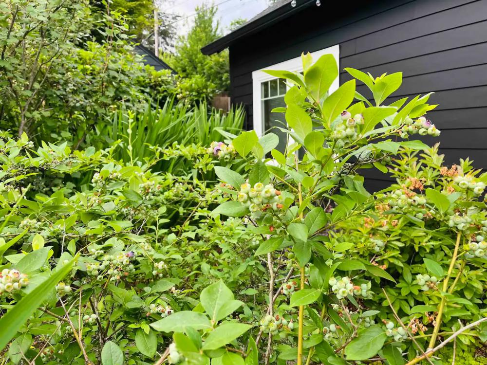 ไอเดียบ้านหลังเล็กฟังก์ชั่นครบน่ารักน่าอยู่ รูปที่ 7