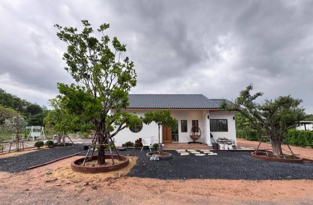 ไอเดียจัดสวนมินิมอล น่านั่งจิบกาแฟ ผ่อนคลายสบายใจ และไอเดียบ้านมินิมอล รูปที่ 10