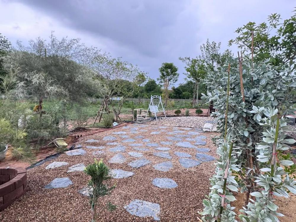 ไอเดียจัดสวนมินิมอล น่านั่งจิบกาแฟ ผ่อนคลายสบายใจ และไอเดียบ้านมินิมอล รูปที่ 11