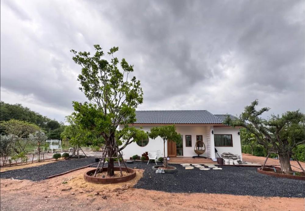 ไอเดียจัดสวนมินิมอล น่านั่งจิบกาแฟ ผ่อนคลายสบายใจ และไอเดียบ้านมินิมอล รูปที่ 5