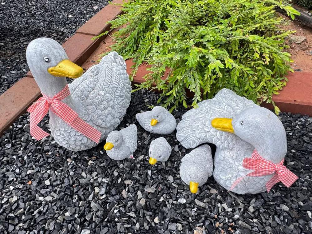 ไอเดียจัดสวนมินิมอล น่านั่งจิบกาแฟ ผ่อนคลายสบายใจ และไอเดียบ้านมินิมอล รูปที่ 6