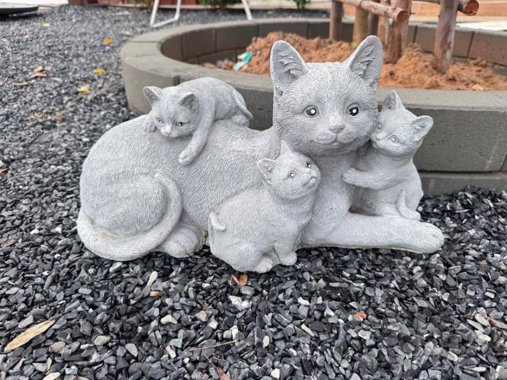 ไอเดียจัดสวนมินิมอล น่านั่งจิบกาแฟ ผ่อนคลายสบายใจ และไอเดียบ้านมินิมอล รูปที่ 7