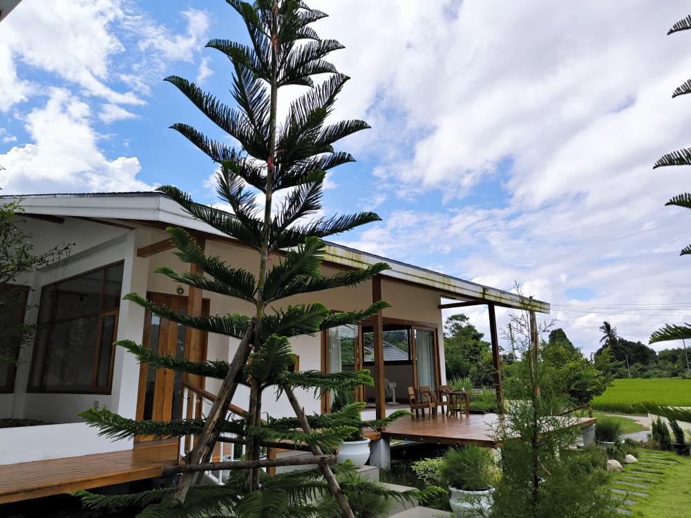 บ้านสไตล์ญี่ปุ่นมินิมอลอยู่ติดท้องนา ตกแต่งสวนและบ้านอบอุ่นมินิมอล รูปที่ 22