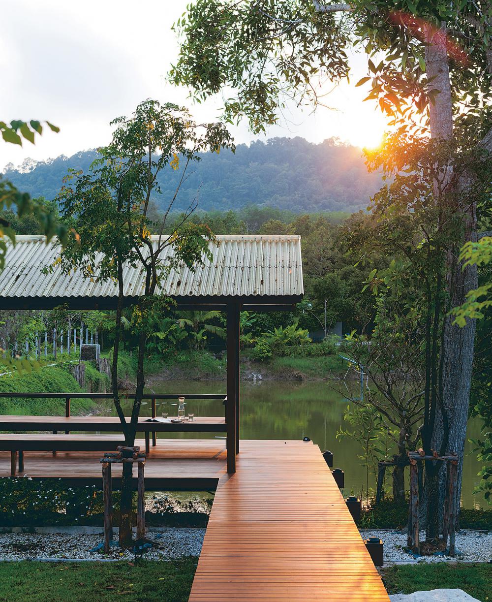 ไอเดียบ้านสวยในสวนผลไม้ รูปที่ 6