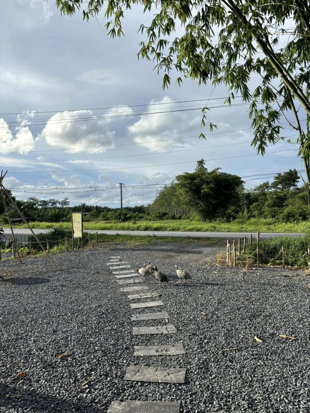 ข้างบ้าน Coffee Camp รูปที่ 10