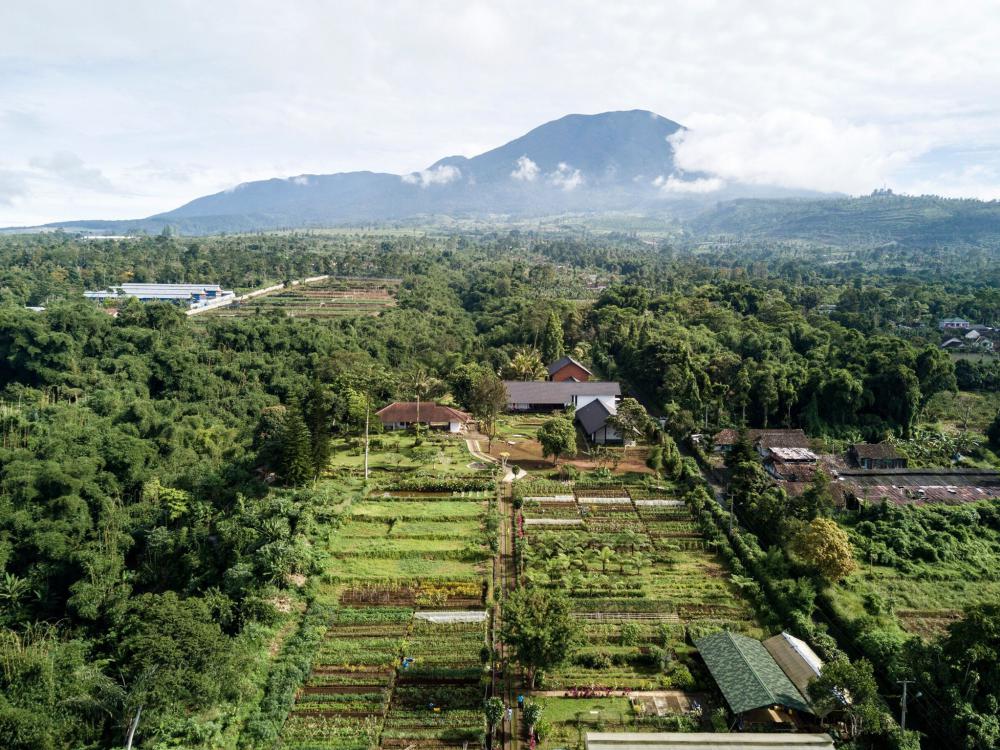 Sukasantai Farmstay วิถีชีวิตเชิงเกษตร รูปที่ 17