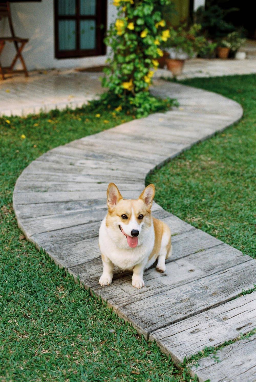 ไอเดียบ้านสวยหลังเล็ก รูปที่ 20