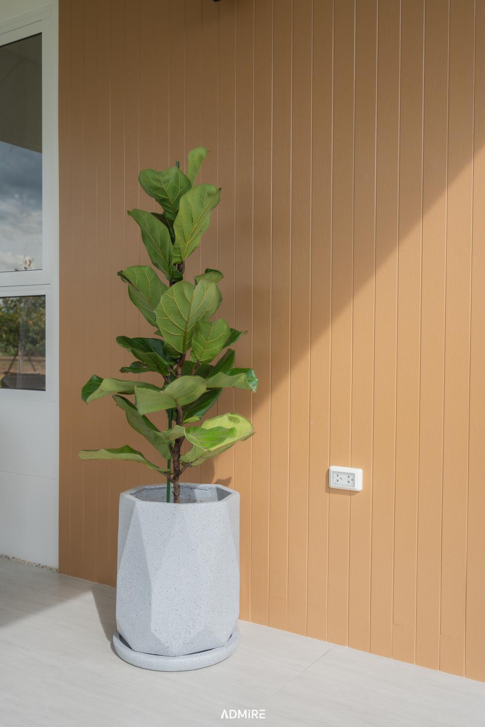 บ้านมินิมอล สวย ฟังก์ชั่นครบครัน จาก ADMIRE Standard House  รูปที่ 12