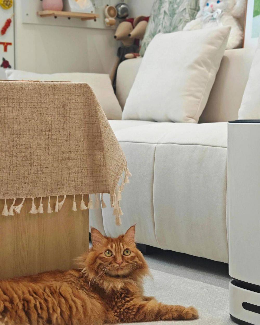 ไอเดียแต่งห้องมินิให้น่าอยู่ รูปที่ 7