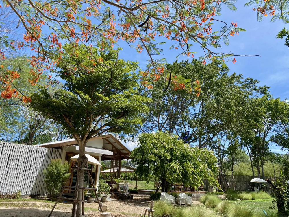 ไอเดียร้านกาแฟสวยน่ารักสไตล์ญี่ปุ่น รูปที่ 18