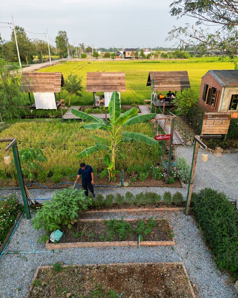 ไอเดียคาเฟ่+สวนผักสวย รูปที่ 13