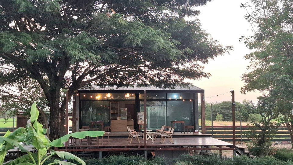 ไอเดียคาเฟ่+สวนผักสวย รูปที่ 14