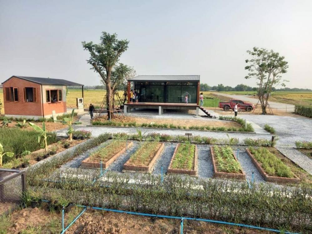 ไอเดียคาเฟ่+สวนผักสวย รูปที่ 15