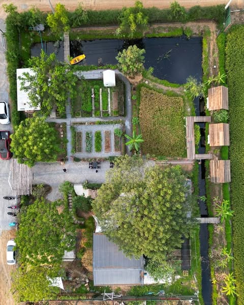 ไอเดียคาเฟ่+สวนผักสวย รูปที่ 17