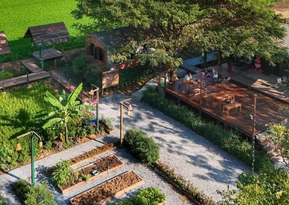 ไอเดียคาเฟ่+สวนผักสวย รูปที่ 3