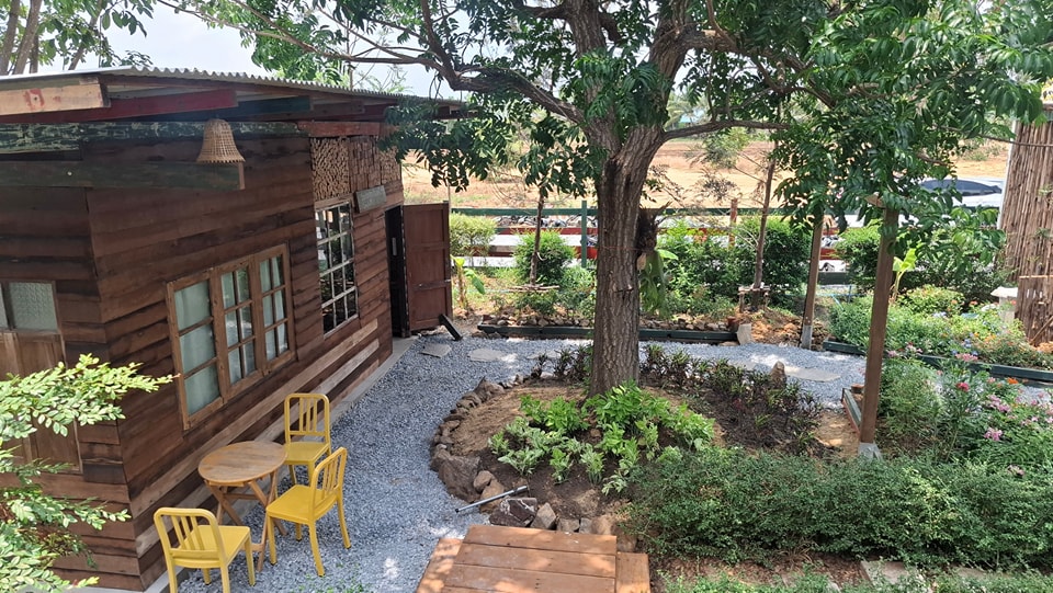 ไอเดียคาเฟ่+สวนผักสวย รูปที่ 7