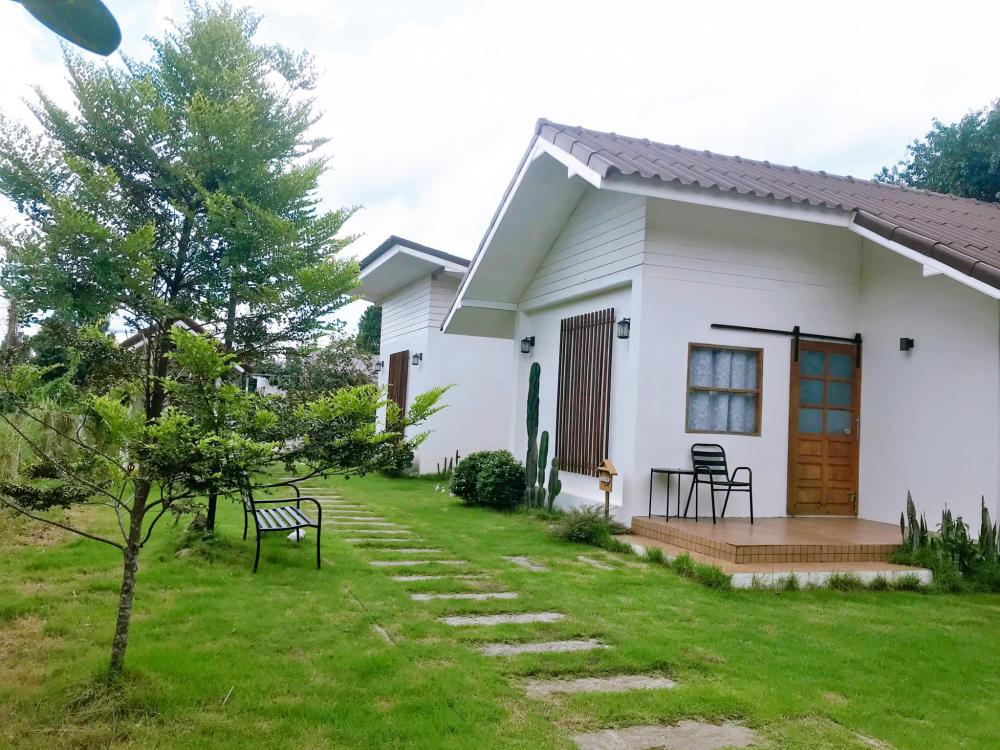  รูปที่ 19