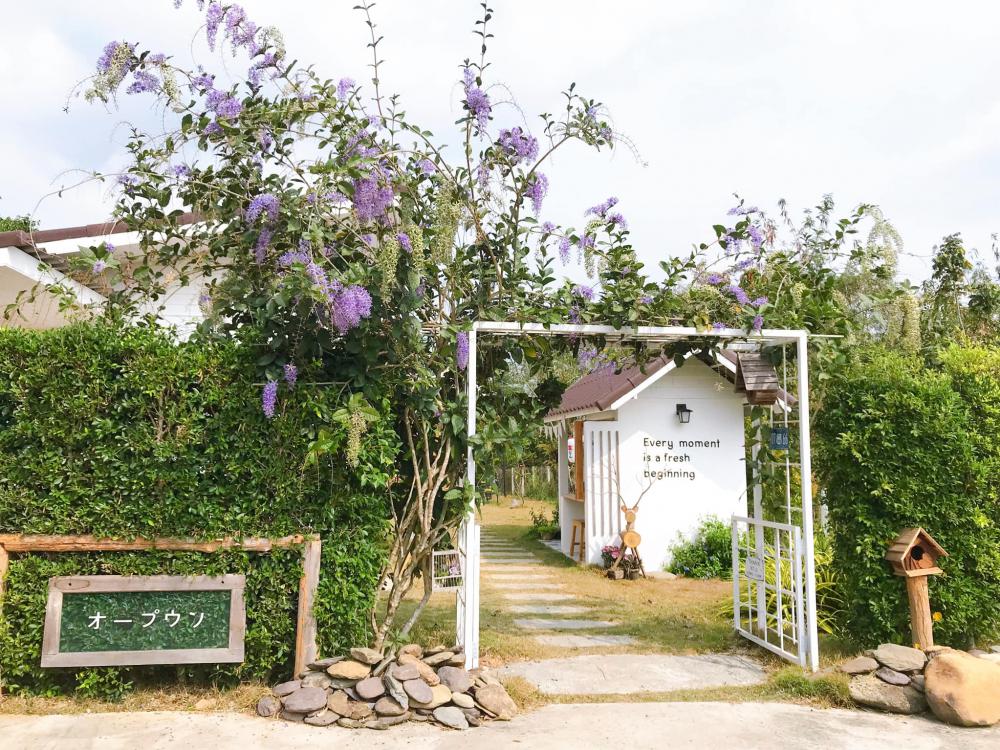  รูปที่ 24