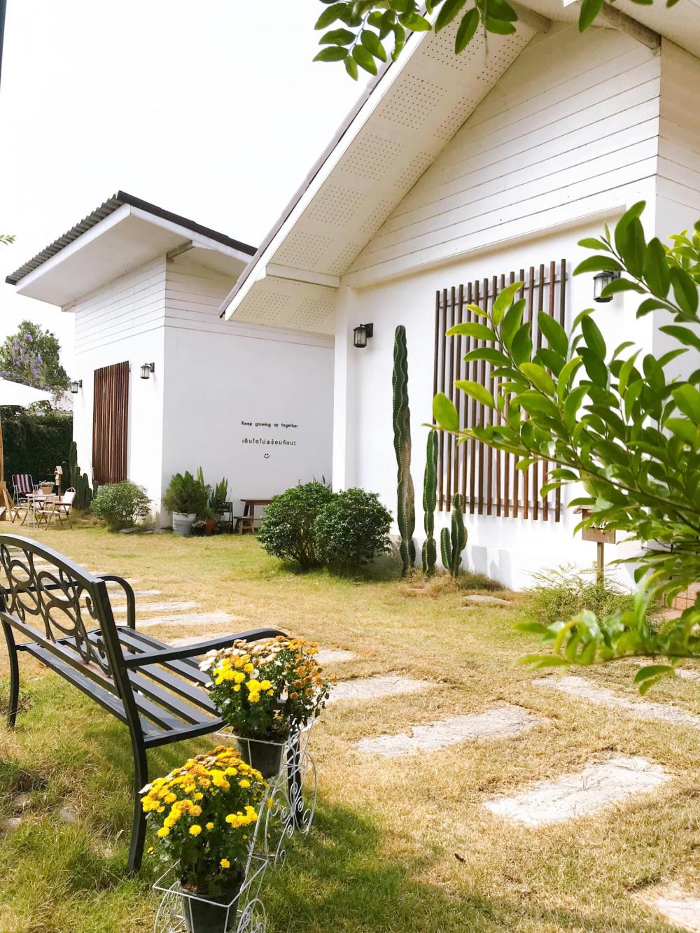  รูปที่ 25