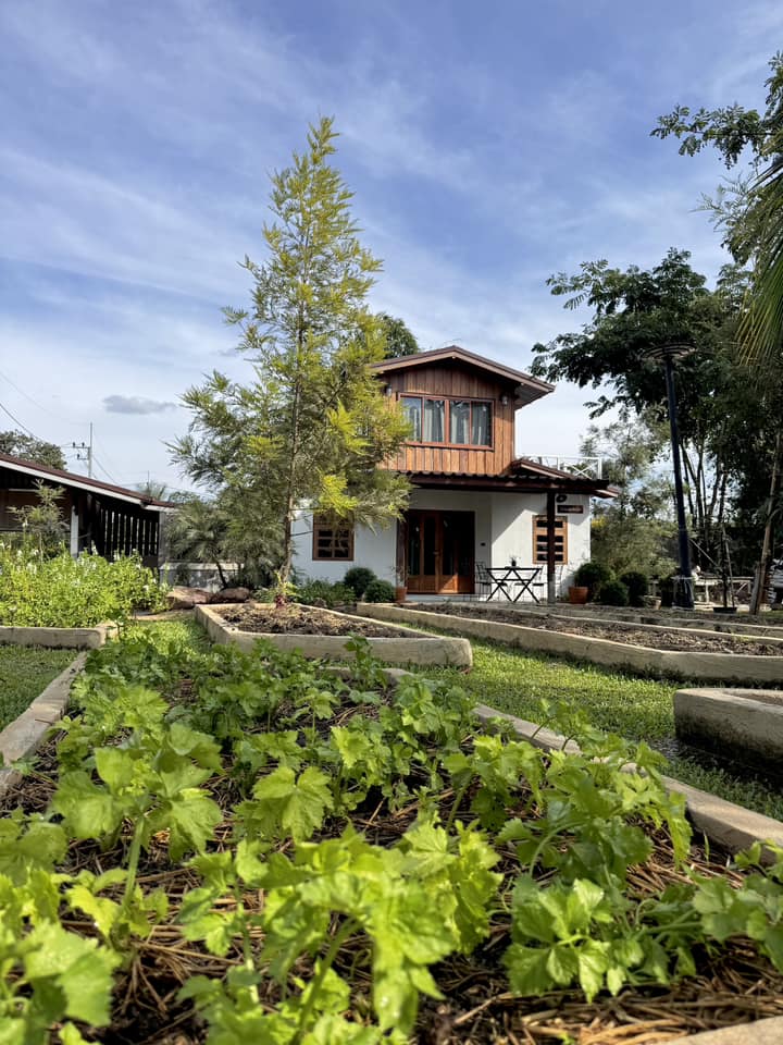 ไอเดียสร้างบ้านสไตล์สวนเวลา เขาใหญ่ รูปที่ 9