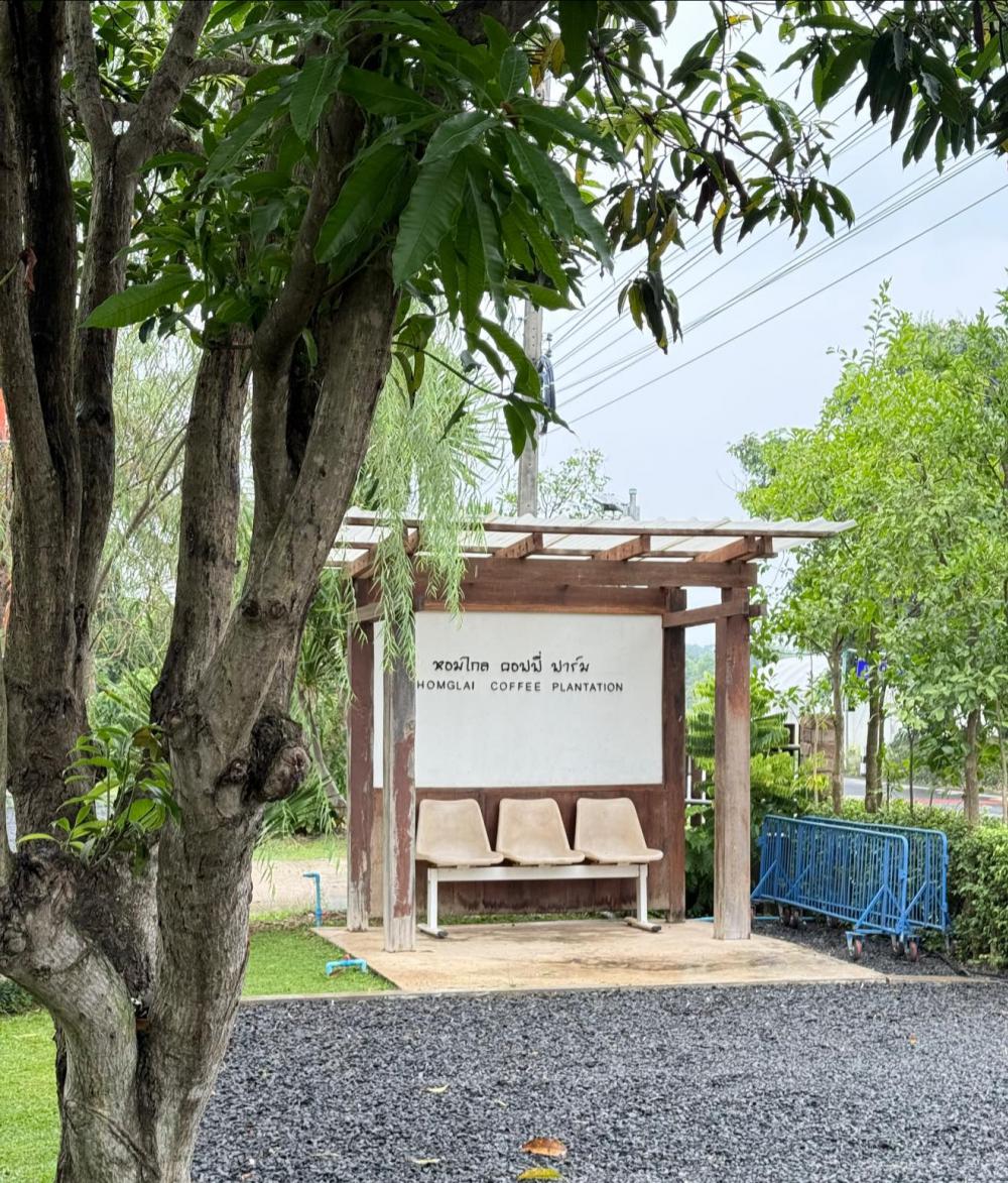 รีโนเวทยุ้งข้าวเป็นร้านกาแฟไม้น่ารัก รูปที่ 11