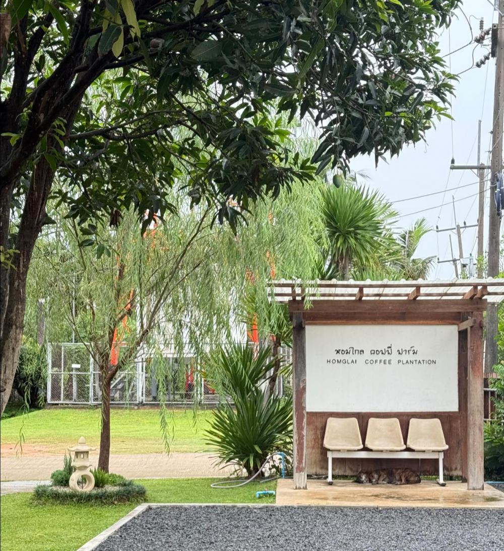 รีโนเวทยุ้งข้าวเป็นร้านกาแฟไม้น่ารัก รูปที่ 22