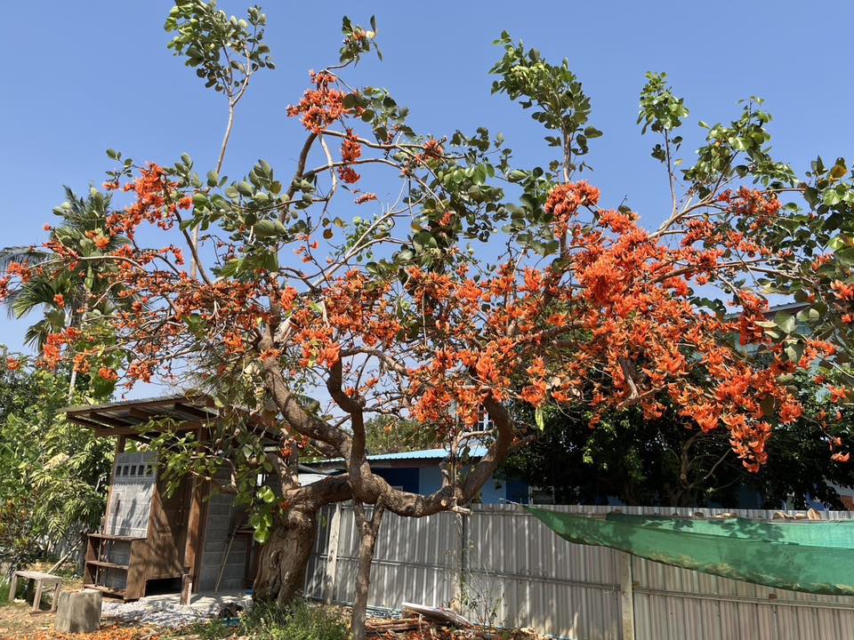 ห้องน้ำวินเทจน่ารัก รูปที่ 12