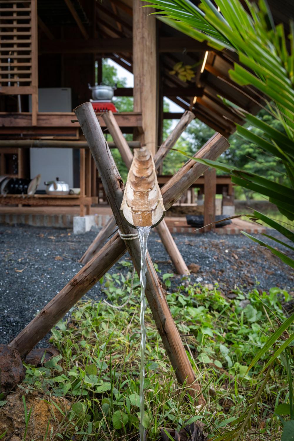 ไอเดียศาลายางนา รูปที่ 22